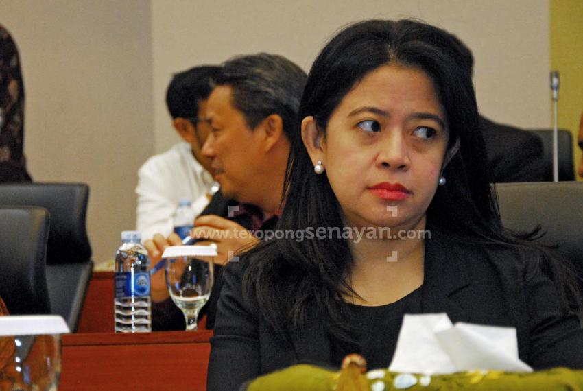 83(PDIP) Puan Maharani.jpg